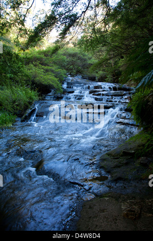 Le Leura Cascades, Blue Mountains, New South Wales, Australie, avec Banque D'Images