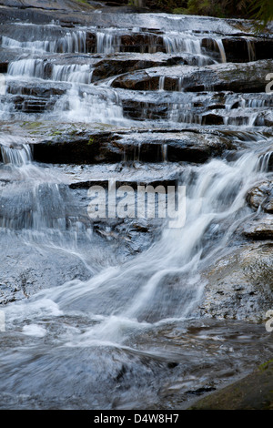 Leura Cascades, Blue Mountains, New South Wales, Australie Banque D'Images