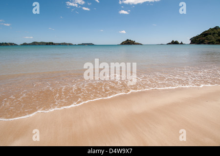 La vaisselle des vagues on tropical beach Banque D'Images