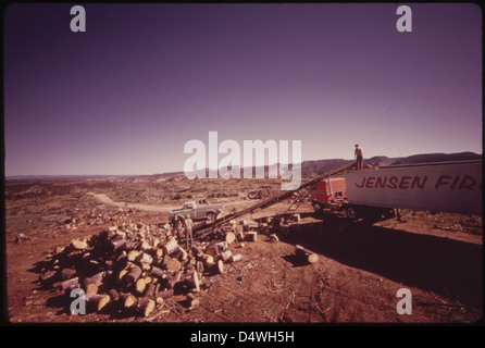 Photographie de juillet 1973 montrant la récupération du bois d'un projet de chaînage du Bureau of Land Management. Le processus consiste à traîner une chaîne entre les bulldozers pour défricher les terres pour le pâturage, avec des conséquences environnementales. Banque D'Images