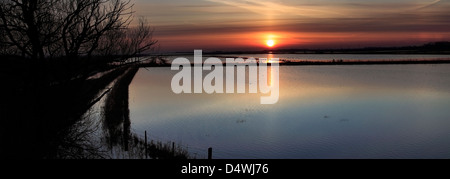 Coucher du soleil d'hiver, scène 40 pieds de vidange, près de la ville de Ramsey, Fenland, Cambridgeshire, Angleterre, Grande-Bretagne, Royaume-Uni Banque D'Images