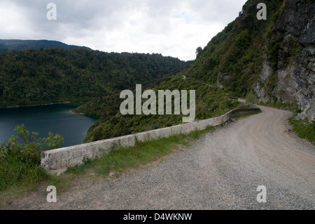 Vieux cultivés forêt de hêtres couvre les parties de Te Urewera National Park en Nouvelle-Zélande, Hawke's Bay. L'état la route 38 mène à travers Banque D'Images