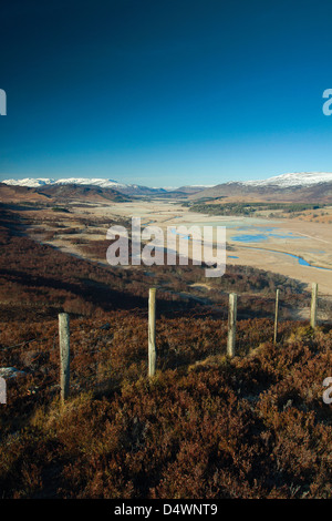 Creagan une Fhithich (Truim Woods vue) et de la rivière Spey, Glen Truim, près de Newtonmore Banque D'Images