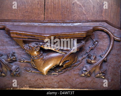 La sculpture sur bois sur sièges misericord à Ripon Cathédrale dans Yorkshire Angleterre Banque D'Images