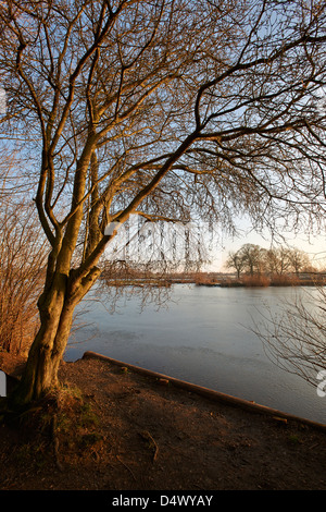 Au bord du lac Dinton Pâturages Banque D'Images