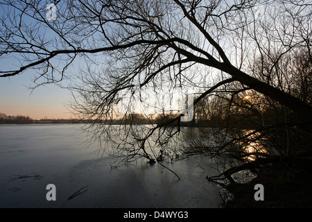 Au bord du lac Dinton Pâturages Banque D'Images