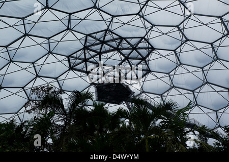 L'intérieurdu biome de la Pluie jusqu'à la forêt tropicale à la plate-forme de guet Eden Project, South West Cornwall, England, UK Banque D'Images