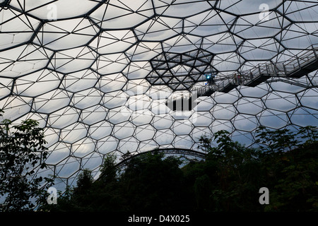 L'intérieurdu biome de la Pluie jusqu'à la forêt tropicale à la plate-forme de guet Eden Project, South West Cornwall, England, UK Banque D'Images