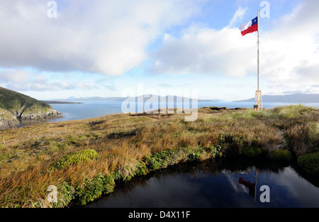 Le drapeau national du Chili, La Estrella Solitaria, (le Lone Star) en vol au dessus du Parc National du Cap Horn. Cabo de Hornos. Chili Banque D'Images