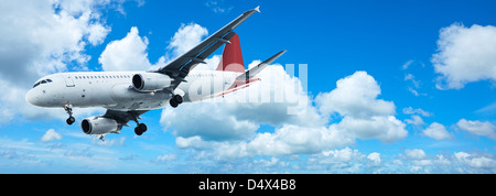 Jet avion dans un ciel bleu. Composition panoramique. Banque D'Images