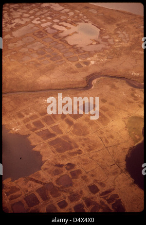 L'image montre un terrain à motifs formé par l'action de la glace, avec un petit ruisseau s'écoulant vers le nord à partir du lac Galbraith. Ces formations sont créées par des cycles de gel-dégel dans les régions de pergélisol, ce qui provoque la fissuration et le déplacement du sol. Le ruisseau draine la région, mettant en valeur un paysage typique d'environnements froids et nordiques. Banque D'Images