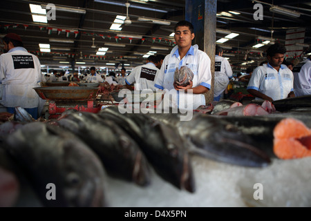 Marché aux poissons, Dubai, Émirats Arabes Unis Banque D'Images