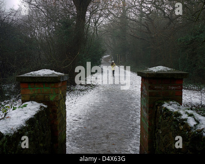 Woman walking in Woods en UK Banque D'Images