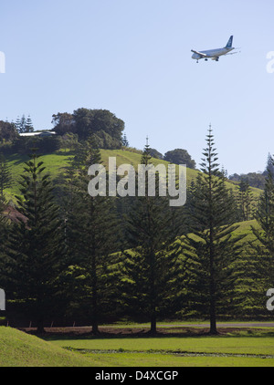 Air New Zealand en avion au-dessus de l'île Norfolk Norfolk Island Pines, emblématique de l'île Norfolk, l'Australie Banque D'Images