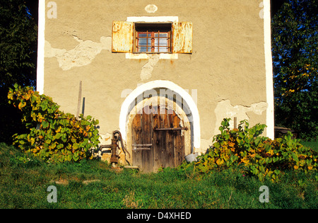 Ancienne maison rurale utilisée comme cave à vin dans les vignobles près de Bohunice, Hont région, la Slovaquie. Banque D'Images