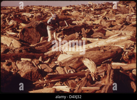 La conservation de l'électricité a entraîné la collecte de bois de chauffage le long des plages, comme cette personne près de Lincoln City. Lorsque cette photo a été prise en janvier 1974, il y avait un facteur vent-refroidissement de moins 12 degrés 01/1974 Banque D'Images