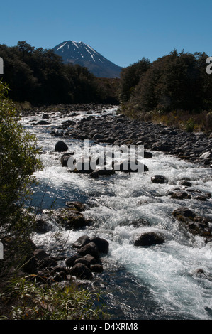 Impressionnant volcan Ngauruhoe est le plus jeune des volcans actifs dans le Parc National de Tongariro. Son cratère est 2291 m. Banque D'Images