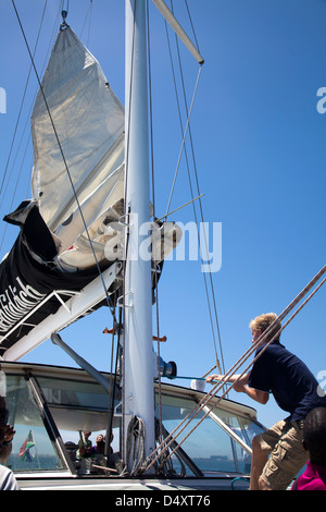 Collecte de l'homme sur les voiles de croisière sur catamaran à Cape Town - Afrique du Sud Banque D'Images