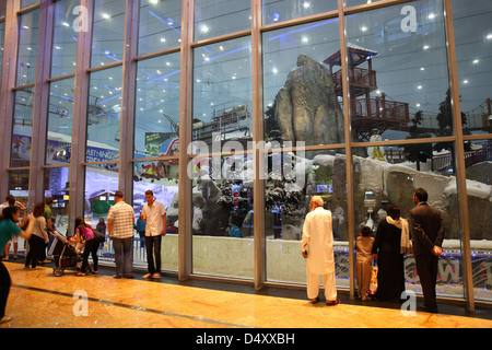 Piscine snowpark sur le centre commercial Mall of the Emirates, Dubaï, Émirats Arabes Unis Banque D'Images