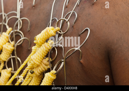 Dévot hindou et transpercé la peau accrochée dans la fête religieuse annuelle Thaipusam à Batu Caves, près de Kuala Lumpur, Malaisie. Banque D'Images