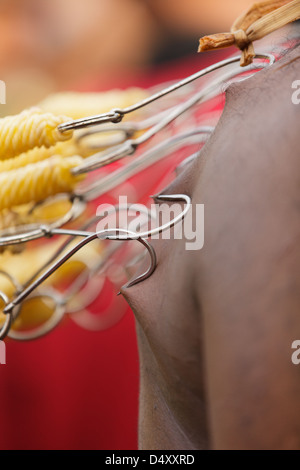 Dévot hindou et transpercé la peau accrochée dans la fête religieuse annuelle Thaipusam à Batu Caves, près de Kuala Lumpur, Malaisie. Banque D'Images