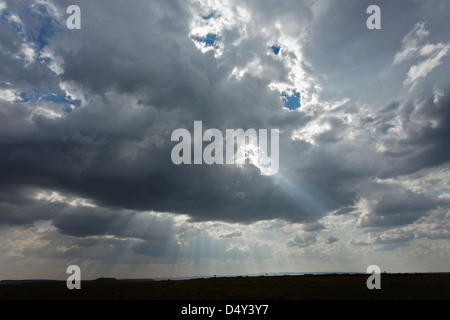 Streaming des faisceaux lumineux à travers les nuages, Maasai Mara, Kenya Banque D'Images