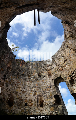 Ruines d'un vieux moulin à sucre à Watcho, plage de Sainte Croix, Îles Vierges des États-Unis. Banque D'Images