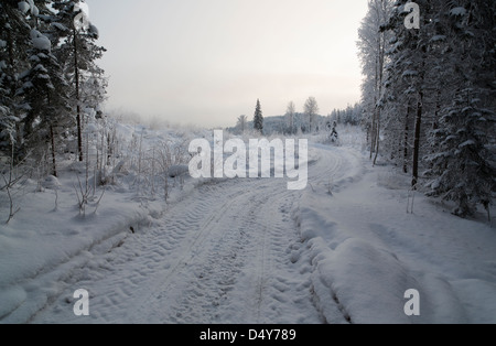 Route forestière vide dans la forêt , Finlande Banque D'Images