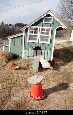 Vermont CSA farm yard avec des poules au début du printemps avec étrier poulailler. Banque D'Images