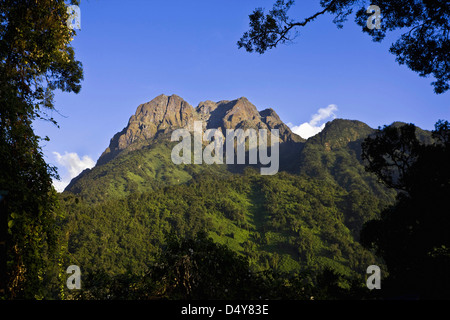 Le portail pics dans le Rwenzori (Ouganda) Banque D'Images