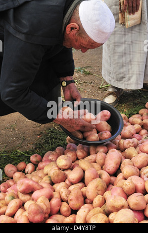 Fermier vendant des pommes de terre le jour du marché à Jemaa d'Rehmat, près de Marrakech, Maroc Banque D'Images