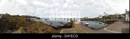 St Abbs, Royaume-Uni, panorama du port Banque D'Images