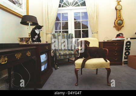 Photographie de Buddy le chien et chaussettes le chat dans le bureau ovale extérieur : 01/05/1998 Banque D'Images