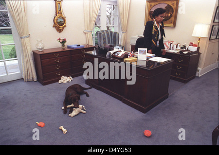 Photographie de Buddy le chien jouant avec des jouets en face de Betty Currie's 24 dans l'avant-Bureau Ovale : 02/06/1998 Banque D'Images