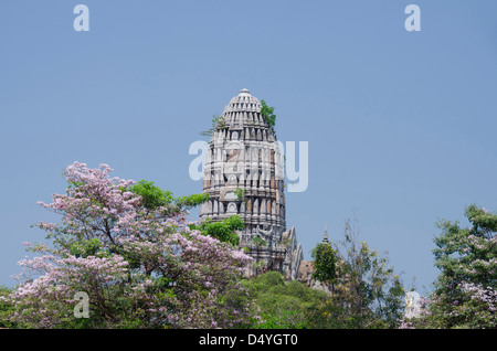 La Thaïlande, Ayutthaya. Wat Mahathat (aka Wat Maha That). L'UNESCO. Temple Prang classique. Banque D'Images