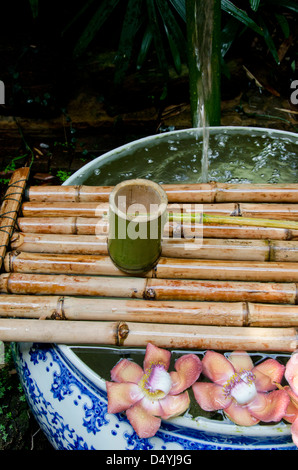 Thaïlande, Bangkok. L'Prasart Museum. 'Serenity' Jardin fontaine à eau avec balancier en bambou tasse et pot poterie bleu et blanc. Banque D'Images