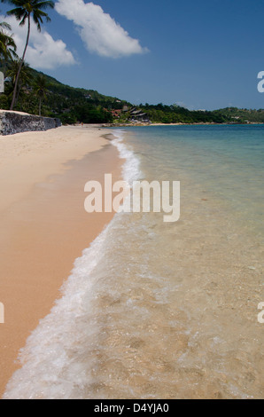 La Thaïlande, l'Île de Ko Samui (aka Koh Samui), la plage de Chaweng. Plage populaire sur le golfe de Thaïlande. Banque D'Images