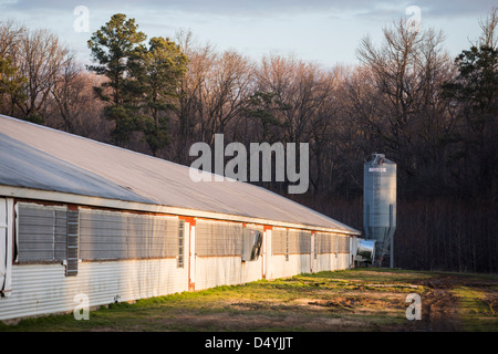 Hangars de poulet au Delaware, États-Unis le 1 mars 2013. Banque D'Images