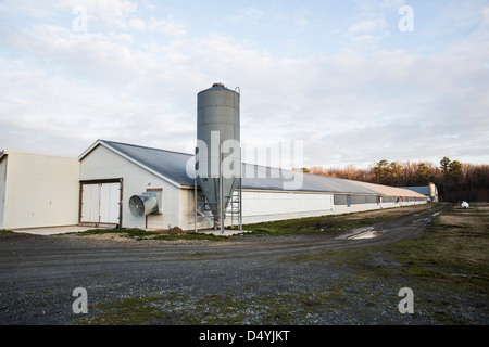 Hangars de poulet au Delaware, États-Unis le 1 mars 2013. Banque D'Images