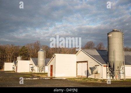 Hangars de poulet au Delaware, États-Unis le 1 mars 2013. Banque D'Images