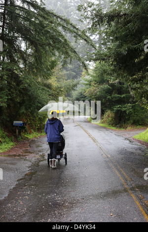 Une femme poussant une poussette sur une route un jour de pluie. Banque D'Images