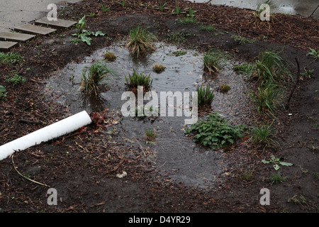 Jardin de pluie pendant les montrant de gouttes de pluie. Banque D'Images