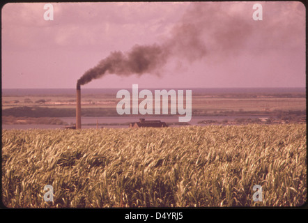 Oahu Sugar Company Mill à Waipahu éructe fumée noire sur ses champs de canne à sucre vert, Octobre 1973 Banque D'Images