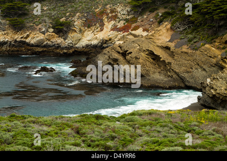 Point Lobos State Preserve, Carmel, Californie Banque D'Images