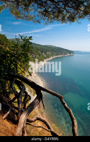 Vue sur la mer Noire. Betta, Gelendzhik district, région de Krasnodar, Russie Banque D'Images
