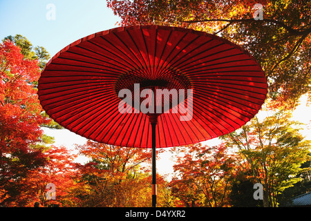 Parasol en papier rouge à Showa Kinen Park, Tokyo Banque D'Images