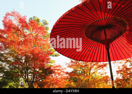 Parasol en papier rouge à Showa Kinen Park, Tokyo Banque D'Images