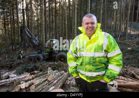 Un transitaire la récolte du bois en forêt Grizedale, Lake District, UK. Banque D'Images