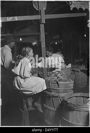 Les radis ! Penny un tas ! Les garçons et les filles de vendre tous les jours jusqu'à 11 h 15, août 1908 Banque D'Images