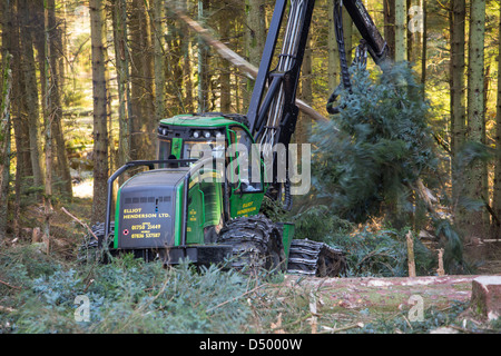 Un transitaire la récolte du bois en forêt Grizedale, Lake District, UK. Banque D'Images